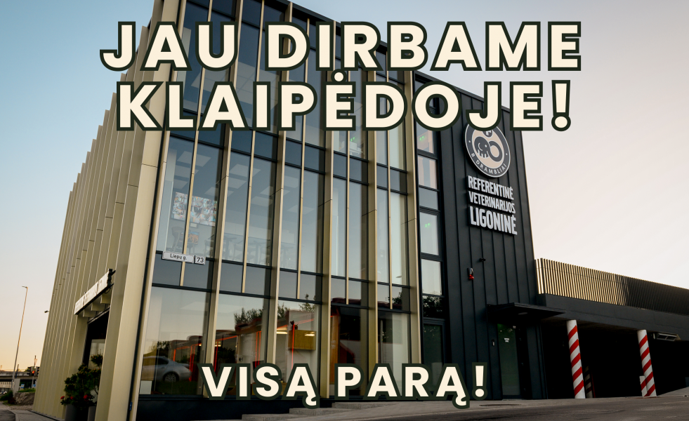 JAU DIRBAME KLAIPĖDOJE!